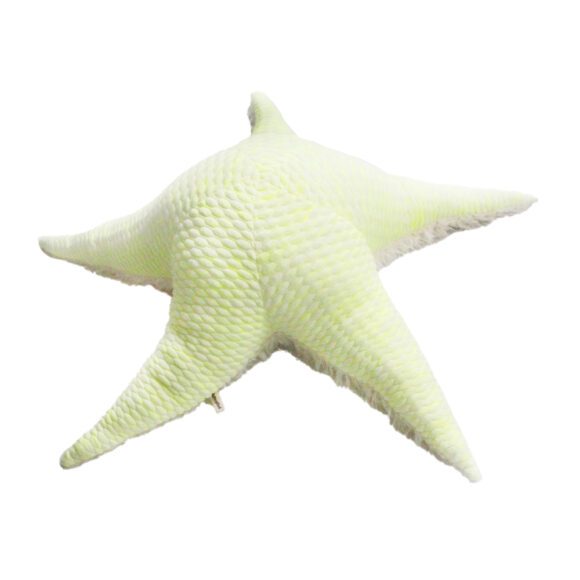 BigStuffed – Zee Collectie – Big Neon Star