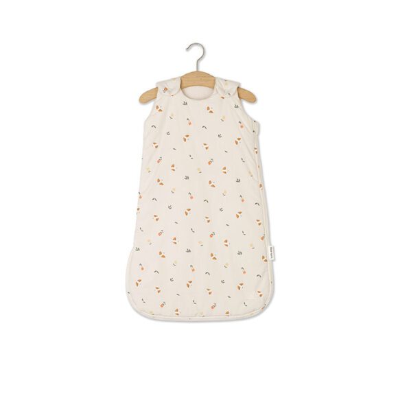 Dear April – Wind Winterslaapzak – 0-6 maanden, TOG 2.5 – Songbirds