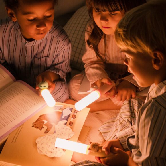 The Zoofamily – 3-in-1 Lampje – Zoo Light – Dino