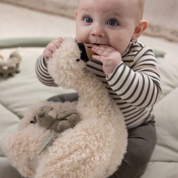 Sebra – Activiteitenspeelgoed – Swan