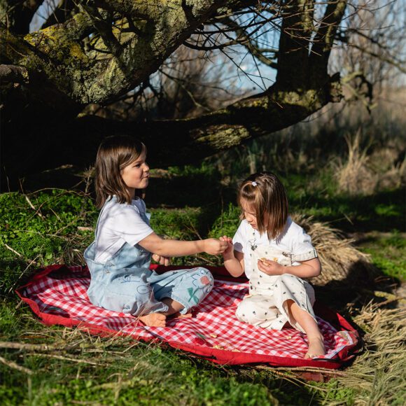 Play&Go – Noomad 2-in-1 Speelkleed & Opbergzak – Outdoor – Pic Nic