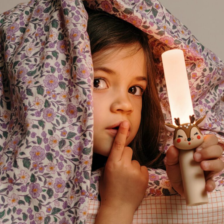 The Zoofamily 3-in-1 Kinder Lampje - Herjte Sfeer