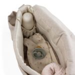 Sebra - Mini Luiertas voor Onderweg - Morning Beige Melange